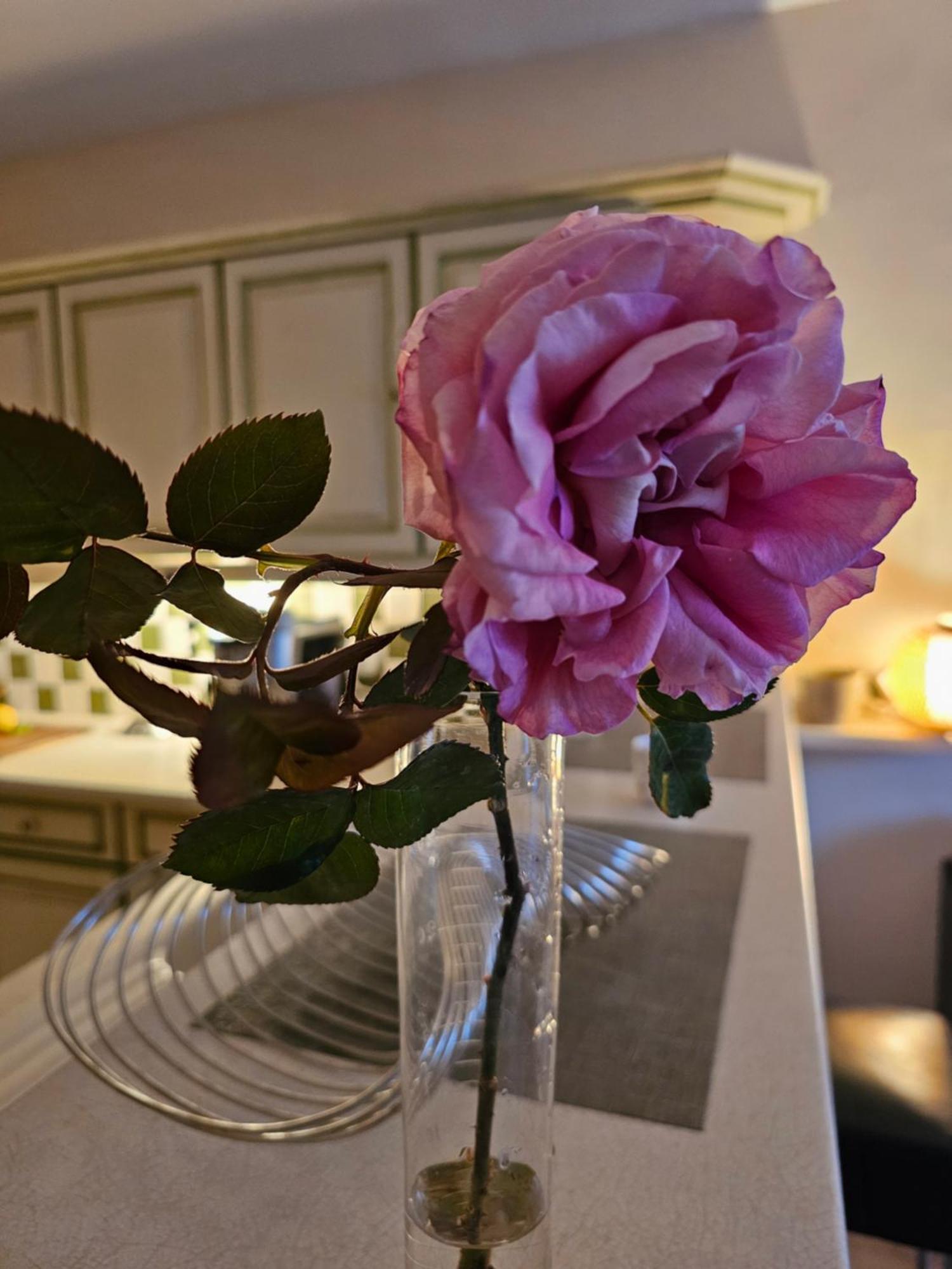 Villa Domaine Purviti à Beaumes-de-Venise Extérieur photo